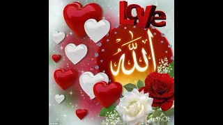 وخدونى و الله معاكم يا زوار النبى النابغة الزهراء 