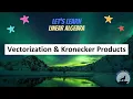 LA29 Vectorization and Kronecker Products