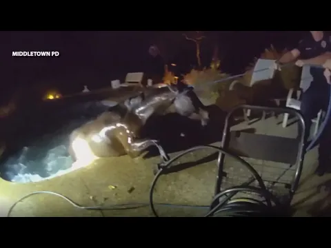 Middletown officers rescue trapped horse with garden hose