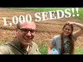 Pumpkin Planting 2021