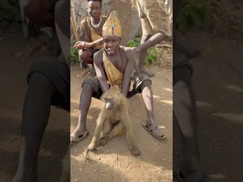 Chaba decide  to keep baboon like pet