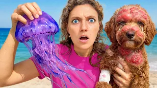 Jellyfish ATTACKED my DOG! HELP!