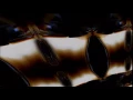 Immortal - Sons of Northern Darkness (With Lyrics)