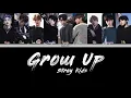 STRAY KIDS (스트레이 기즈) - GROW UP (잘 하고 있어) HAN/ROM/ENG LYRICS