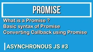 JavaScript Tutorial Working with Promise - Asynchronous JS