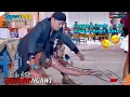 Download Lagu Madiun Ngawi (Goyang Osolo Sampe Bawah) Asli Ngakak 🤣🤣 || Lala Atilla Ft Itok - SUPRA NADA