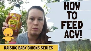Always Feed Apple Cider Vinegar To Chickens Here s Why