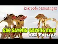Durmogati kalah meneh....Citraksi metu gur gawe gayeng-gayeng