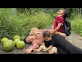 Download Lagu When the whole sky collapsed in the eyes of a child, What happened to Hai Ca