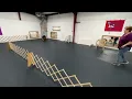 Zorro practicing retrieves 08 22 23 Evansville Obedience Club