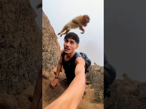 Wait for it 🤯 #shorts #youtubeshorts #viralvideo