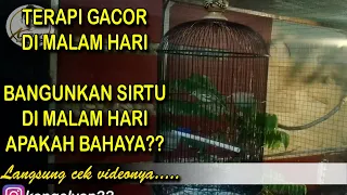 sirtu gacor siang malam dan tes vokal di malam hari