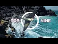 Download Lagu Suara Walet - Top Nine
