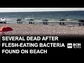 At least 7 dead after flesh-eating bacteria found on Gulf coast beach