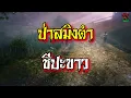 Download Lagu ป่าสมิงดำ ชีปะขาว | สยองสตอรี่
