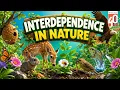 Interdependence In Nature Ratna Sagar Animated Story