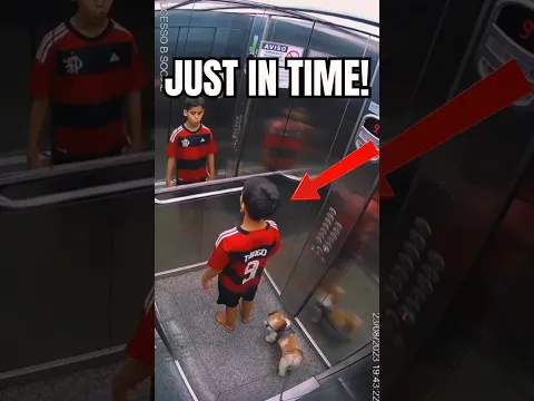 JUST IN TIME!😱👉🐕