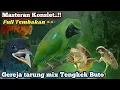 Download Lagu Masteran Cucak ijo Konslet‼️ Tembakan Gereja tarung MIX Tengkek buto
