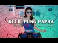 Download Lagu KACILI PUNG PAPA _ DISKO TANAH _ ARMANDO AMANGA _ REMIX 2025