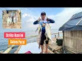Download Lagu JANGAN PANIK !!! Ikan nya Masih Banyak, Mancing Di Bagan Pertamina Seperti Tempat Pelelangan Ikan 