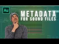 Simplify Metadata Writing For Field Recording with Universal Category System