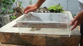 cara membersihkan aquarium akrilik berkerak cara paling simple