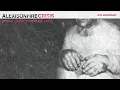 Drunks, Lovers, Sinners and Saints - Alexisonfire
