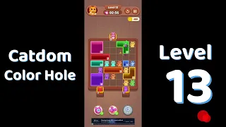Catdom Color Hole Level 13 Screenshot