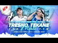 Download Lagu Gedene Cintaku Luar Biasa | Tresno Tekane Mati Yang Lagi Viral X Thailand Style Party Unyil 12 Remix