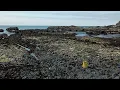 One minute at the Yaquina Bay tidepools