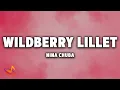 Download Lagu Nina Chuba - WILDBERRY LILLET [Lyrics]