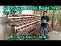 Download Lagu 48 Ekor Ayam Petelur ! Berapa Biaya Dan Hasil ?