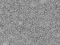 Medium with Ellipses in Processing