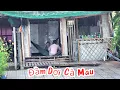 Download Lagu Vùng Quê Sâu Heo Hút Đầm Dơi Cà Mau, Đường Làng Vắng Bóng Người Quá 2025