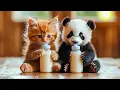 Download Lagu 🐱🐼 Kittens TAKE OVER Panda Village | Cult of Kittens🐱🐼