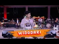 Download Lagu WIDODARI - Bagas Wakind ( Live BM Music )