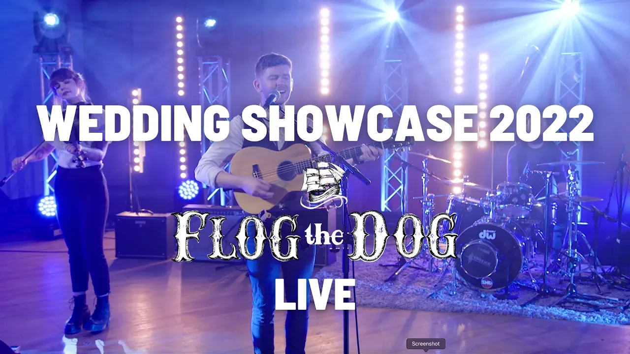 Flog the Dog live wedding band video preview