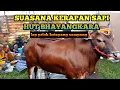 Download Lagu SUASANA KERAPAN SAPI HUT BHAYANGKARA||Ketapang sampang 6 juli 2025