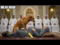 Download Lagu VIRAL‼️ Kisah Wanita Hamil Dengan Seekor Anjing, Endingnya Akan Membuat Anda Tak Percaya!