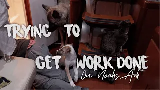 Boat works on Noah’s Ark | Sailing Sicily | Sailing Sunday Ep. 98