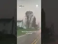 Tornado Near Lena Illinois Knocks Down Trees Power Poles