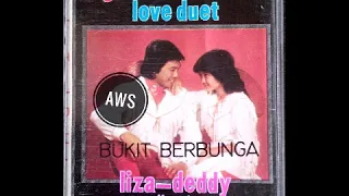 Download Bukit Berbunga - Deddy Lesmana \u0026 Liza Tanzil MP3