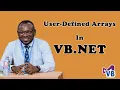 Creating VB NET Application User-Defined Arrays