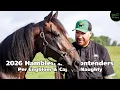 2026 Hambletonian Contenders Per Engblom Captain Naughty
