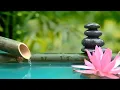 Download Lagu Slap af musik med naturens lyde Bamboo Water Fountain Healing Music BGM