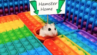 Download 🐹 Hamster Escapes the Pop It Maze for Pets in real life 🐹 MP3