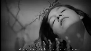 اجمل شيله جارت الدنياء علينا زوجوها انسان ثاني بصوت ابو حنظله 