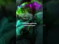 Download Lagu Gurauan semata triyana