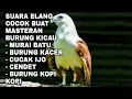 Download Lagu SUARA ELANG EFEKTIF BUAT MASTERAN