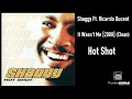 Shaggy Ft. Ricardo Ducent - It Wasn't Me [2000] (Clean)